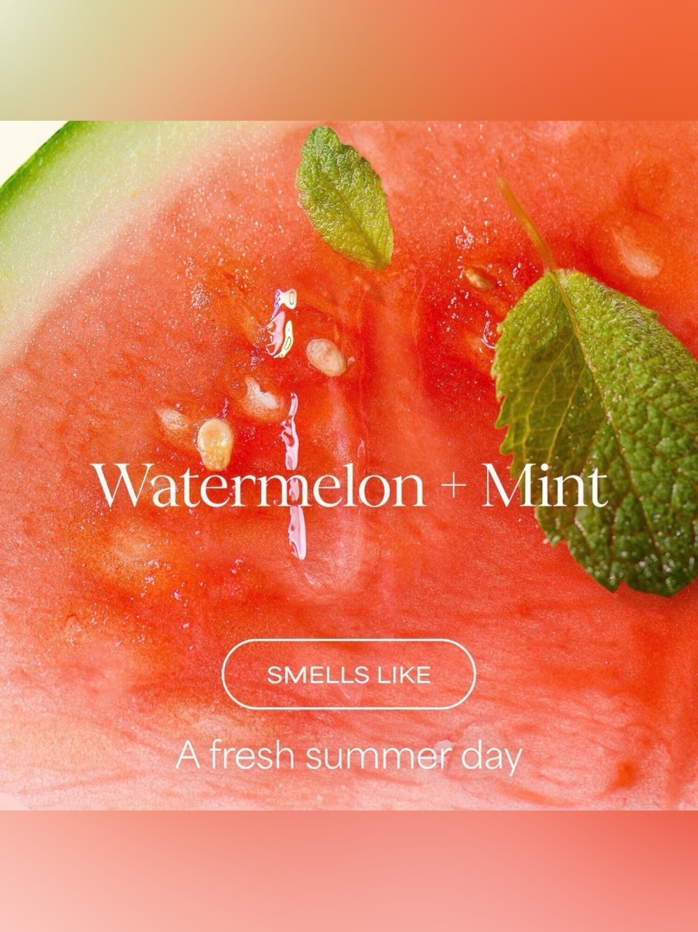 RAW Sugar Watermelon Mint Refresh Hand Wash - FULL SIZE - Picture 2 of 3